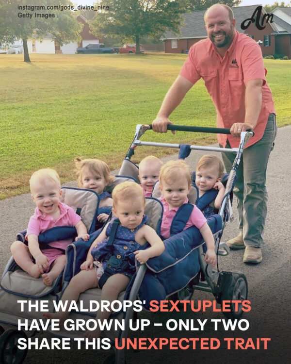 It’s Been 7 Years Since the Show About the Waldrop Family Premiered — Meet the Couple’s Nine Kids, Including the Sextuplets and Twins