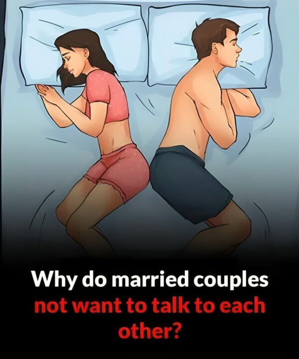 Why do married couples not want to talk to each other?