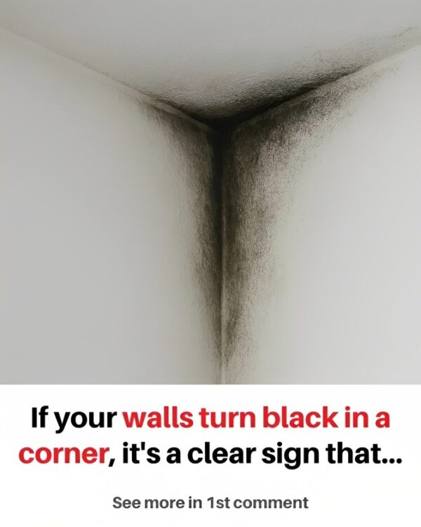 If your walls are turning black in a corner, it’s no accident: find out what it really means (and how to fix it)