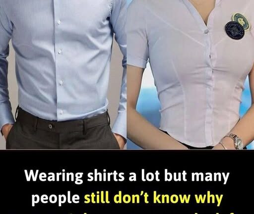 The Hidden History Behind Why Men’s and Women’s Shirts Button Differently