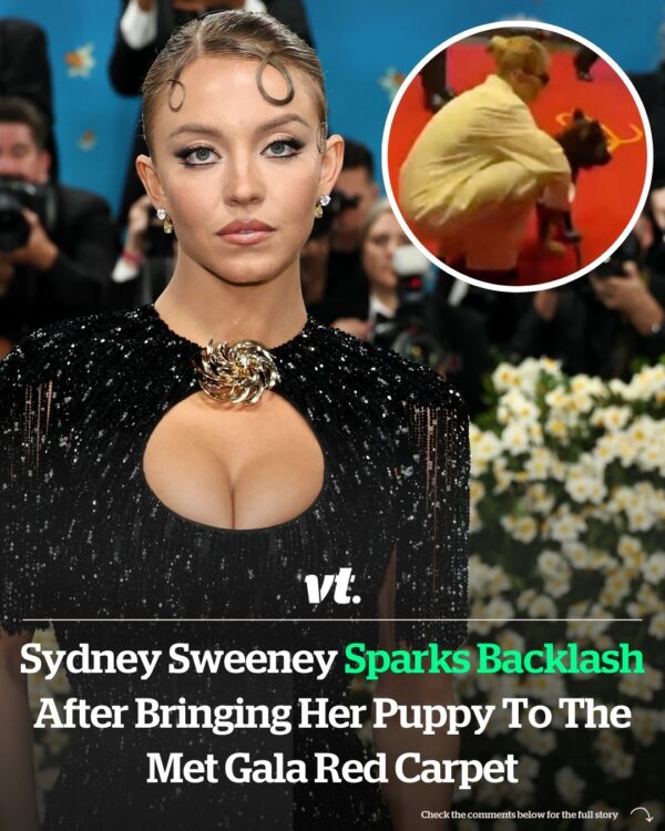 Sydney Sweeney sparks backlash after bringing her puppy to the Met Gala red carpet