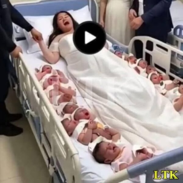 A 23-year-old woman gives birth to 14 children in…
