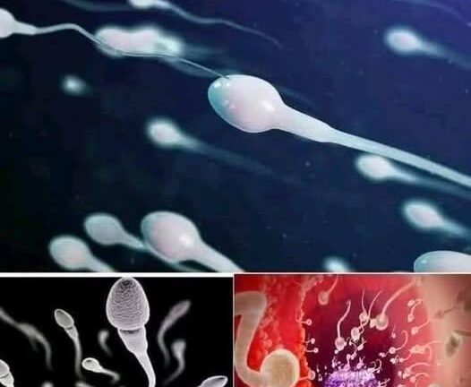 !!! Studies reveal that swallowing your partner’s semen