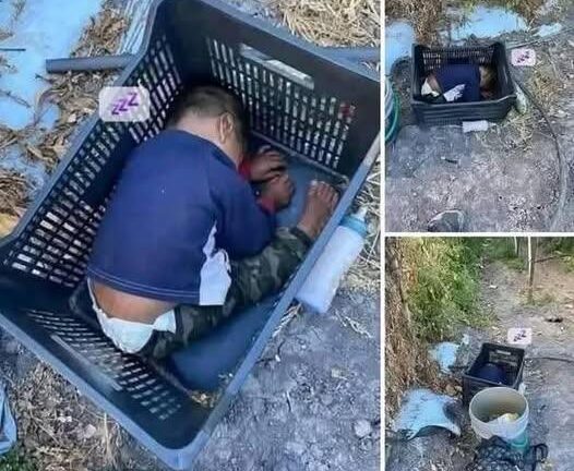 This approximately 2-year-old boy was found… See more