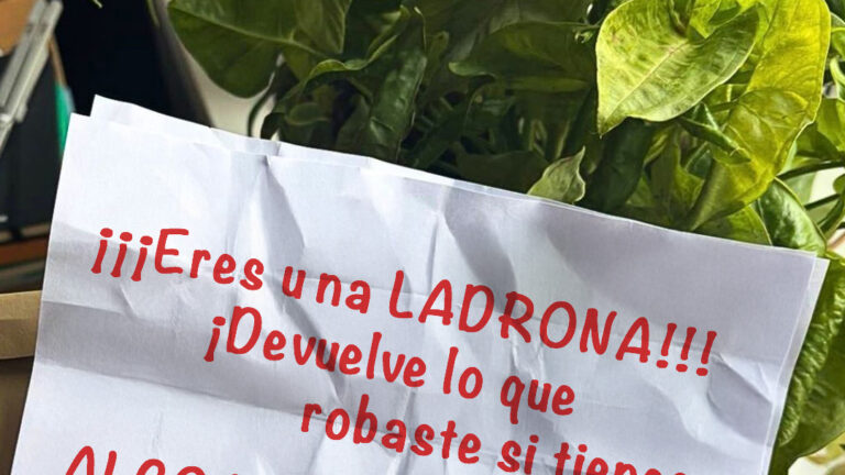 Mi difunta madre se hizo rica de la noche a la mañana hace diez años, pero junto con su herencia recibí una carta que decía: “Eres una ladrona” – Historia del día