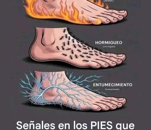 Señales en tus PIES que indican