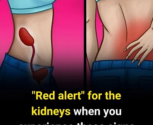 If Your Kidneys Are in Danger, the Body Will Show these 10 Signs