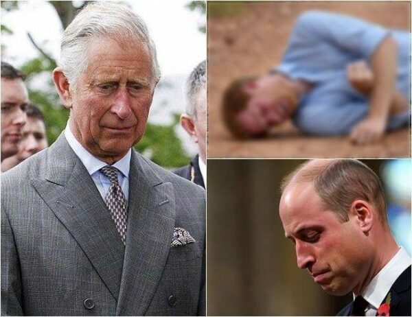 VF13. King Charles announces Harry’s BAD N3WS in the U.S. and urgently summ0ns William to r3scue his younger brother. However, d0ctors deliver the HEARTBREAKING update