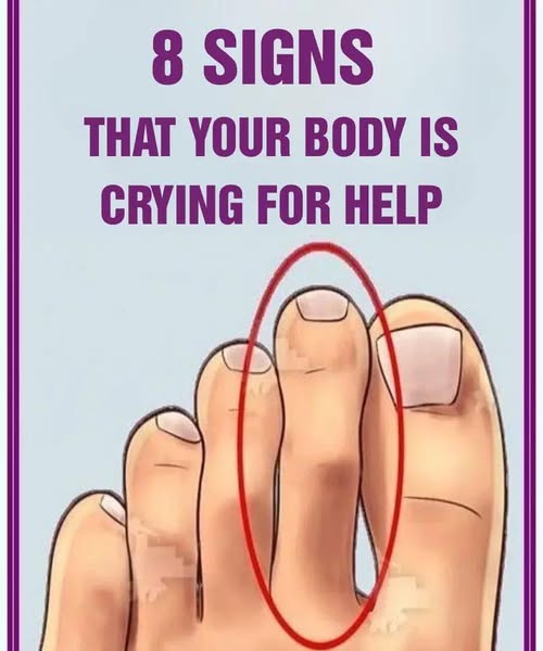 8 signs that your body is crying for help