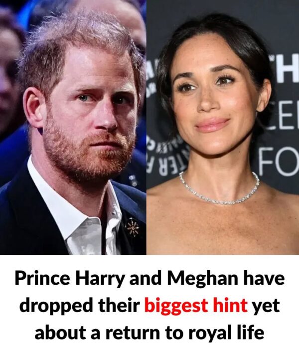 Prince Harry and Meghan have dropped their biggest hint yet about a return to royal life
