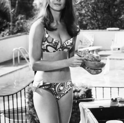 The Secrets and Mistakes of Bob & Carol & Ted & Alice