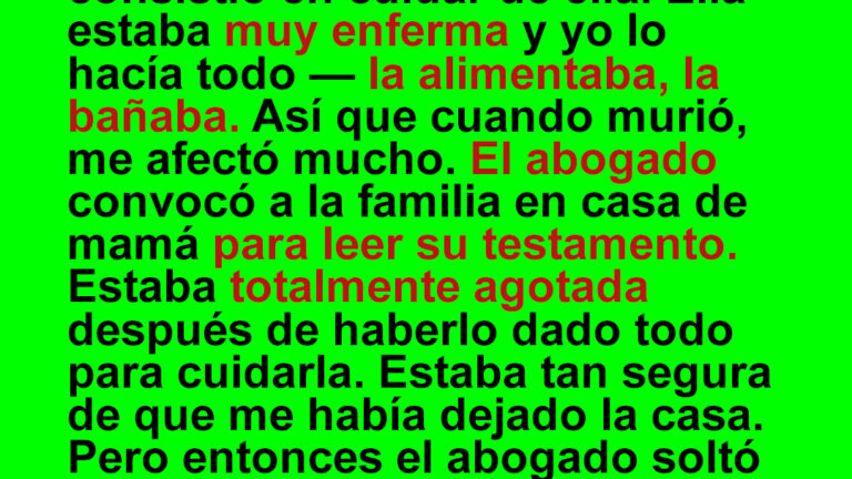 Cuidé de mi madre enferma hasta su último suspiro, pero al final su testamento no me dejó nada — Historia del día