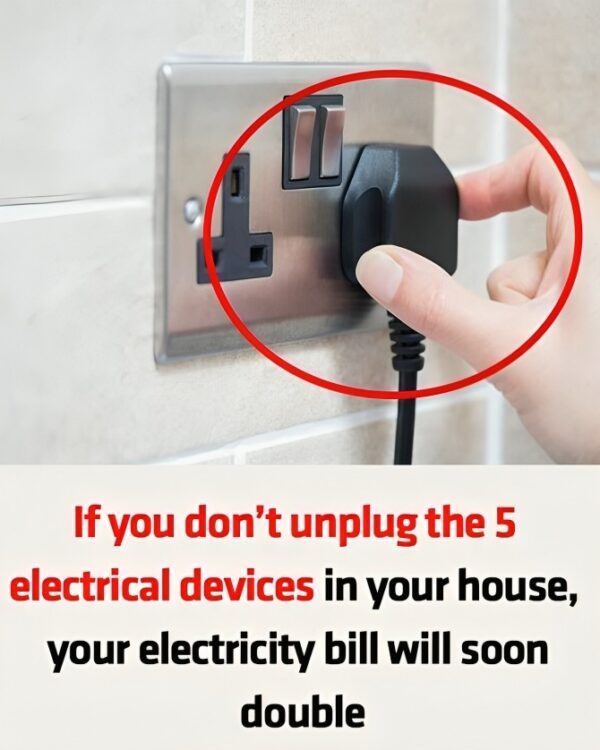 If you don’t unplug the 5 electrical devices in your house, your electricity bill will soon double