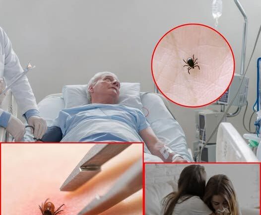 Man Dies After Brain Swells from Rare Tick-Borne Virus — Now His Family Urges Others to Stay Vigilant