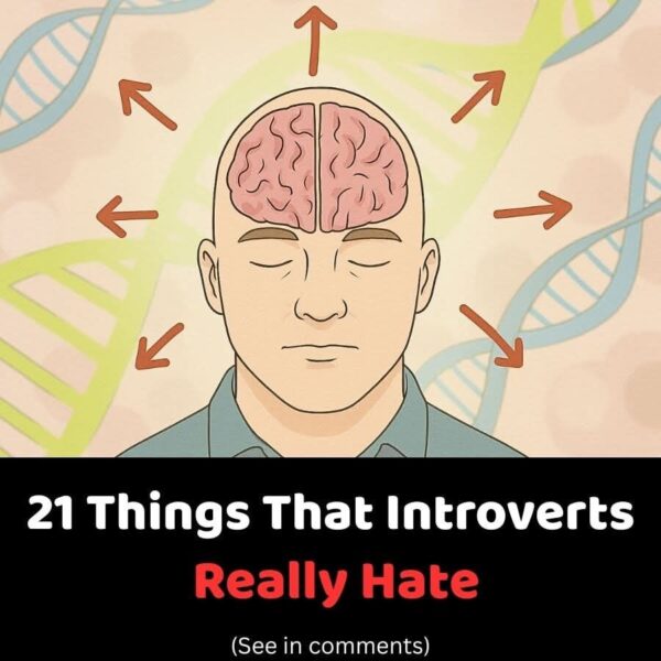 Things That Introverts Really Hate