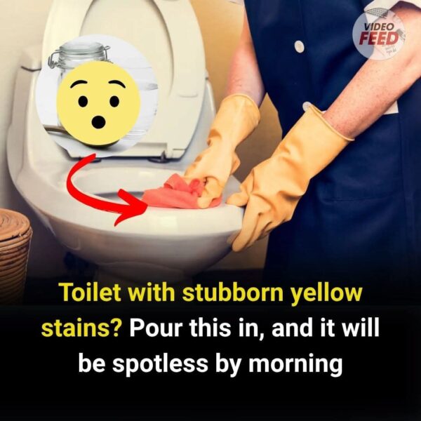 Yellow stains in your toilet? This simple trick works overnight!