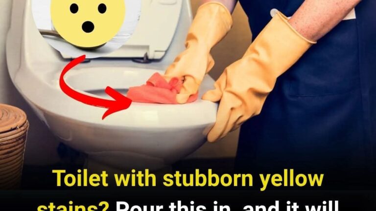 Yellow stains in your toilet? This simple trick works overnight!