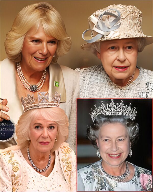 It was meant to be a night of regal elegance—but behind the dazzling diamonds and designer gowns, the tension could be cut with a knife…