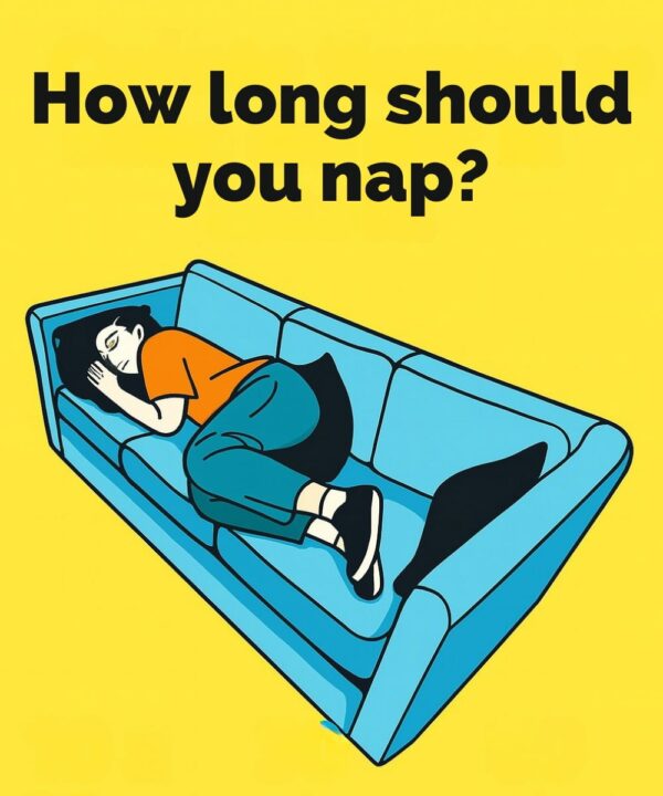 Taking a nap could change your life! Discover why sleeping for a few minutes a day improves your memory, and more