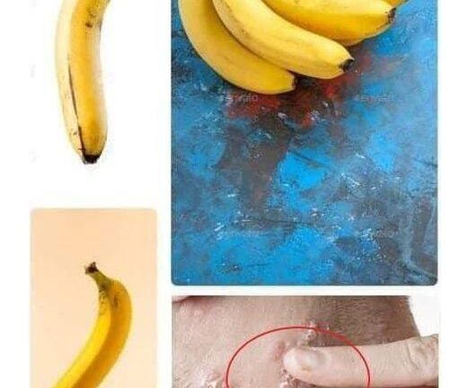 Men prefer short women because these have…