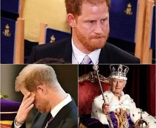 Cucumber Resurgence: Infuse Life and Abundance into Your Garden