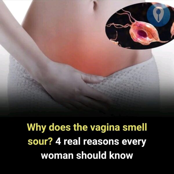 Why Does the VAGlNA Smell Sour? 4 Real Reasons Every Woman Should Know