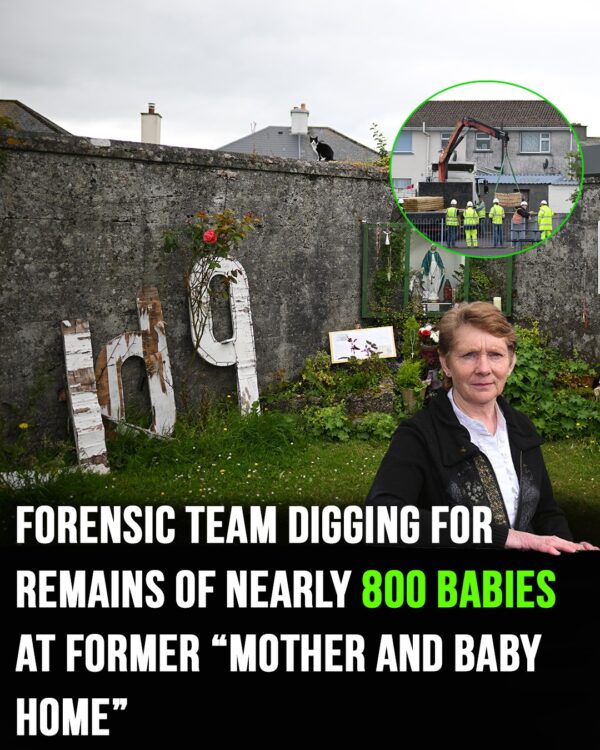 Forensic team digging for remains of nearly 800 babies at former ‘mother and baby home’