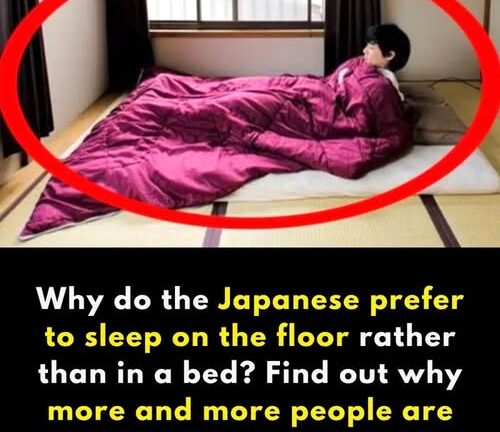 Why do Japanese people prefer to sleep on the floor?