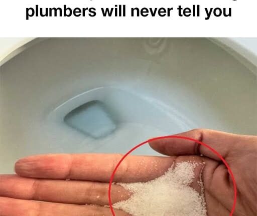 The Surprising Toilet Trick Plumbers Don’t Tell You: How Salt Can Keep Your Toilet Fresh and Unclogged