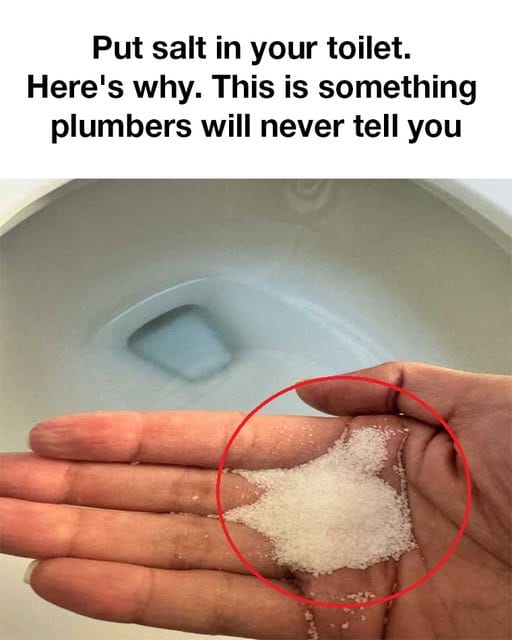 The Surprising Toilet Trick Plumbers Don’t Tell You: How Salt Can Keep Your Toilet Fresh and Unclogged